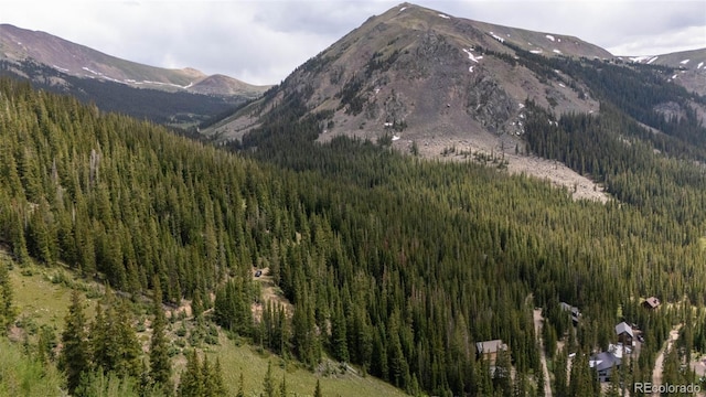 353 Bullion Mine Rd, Dillon, CO 80435 - photo 42
