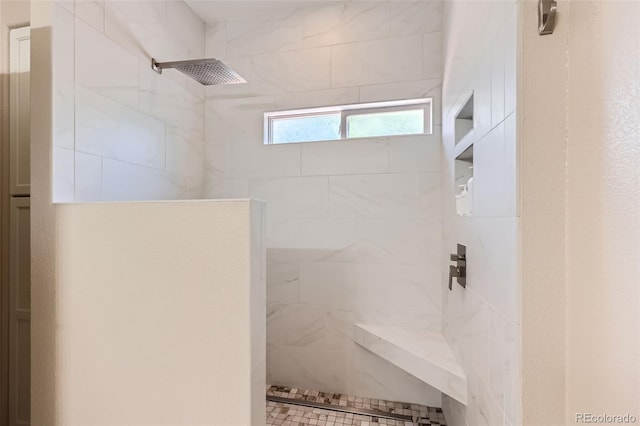21107 Hawthorne Ln, Parker, CO 80138 - full bath featuring tiled shower