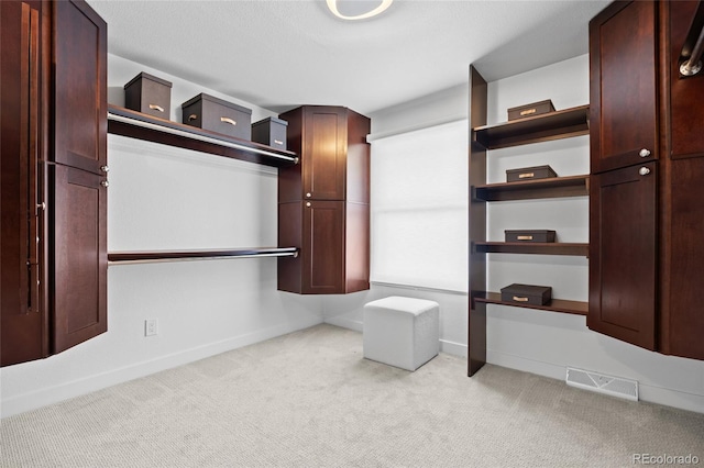 5853 S Havana Ct, Englewood, CO 80111 - spacious closet with carpet floors