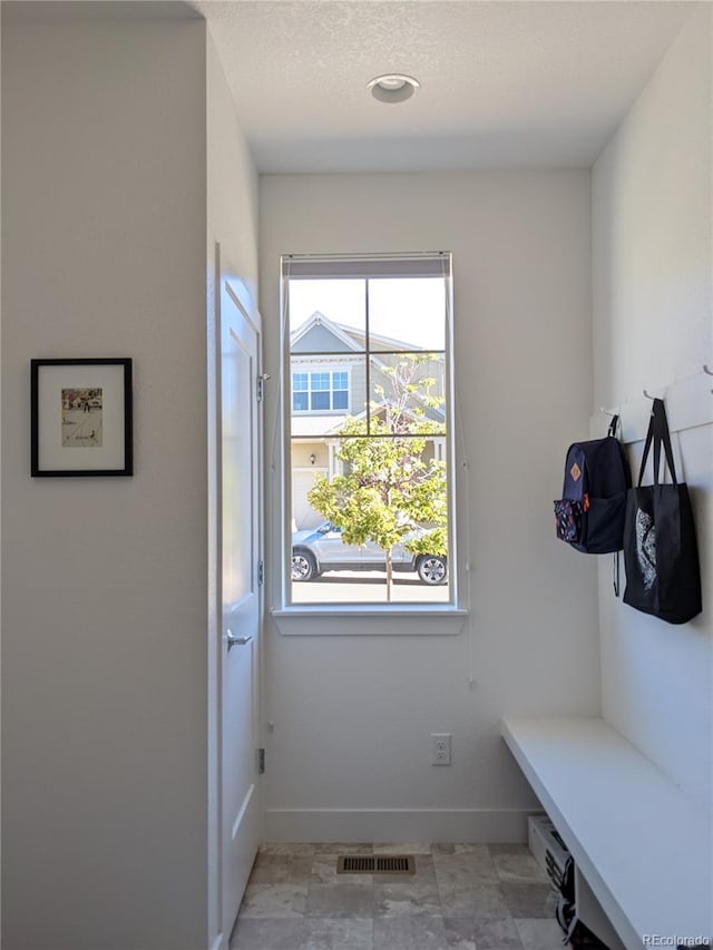 13788 Umatilla Ln, Broomfield, CO 80023 - mudroom with baseboards