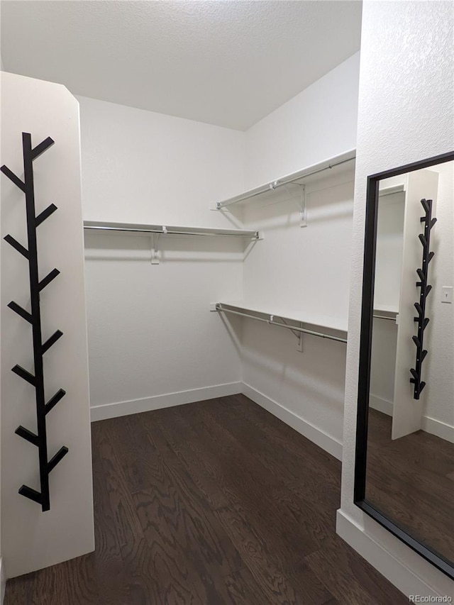 13788 Umatilla Ln, Broomfield, CO 80023 - walk in closet featuring dark wood-type flooring