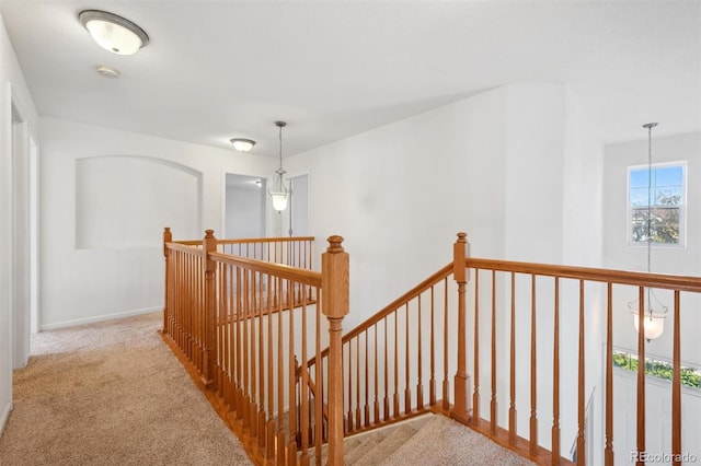 stairway with carpet flooring