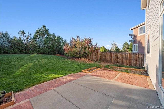 view of yard featuring a patio