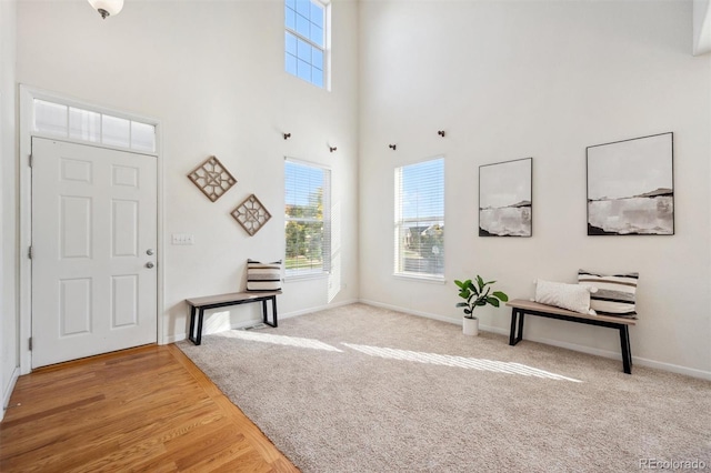 foyer entrance with hardwood / wood-style floors and a towering ceiling