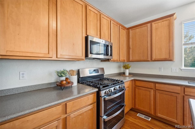 kitchen with stainless steel appliances and wood-type flooring