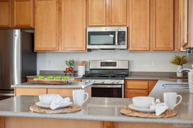 kitchen with stainless steel appliances and sink