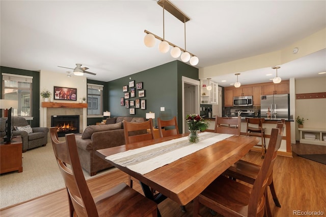 dining area with ceiling fan and light hardwood / wood-style flooring