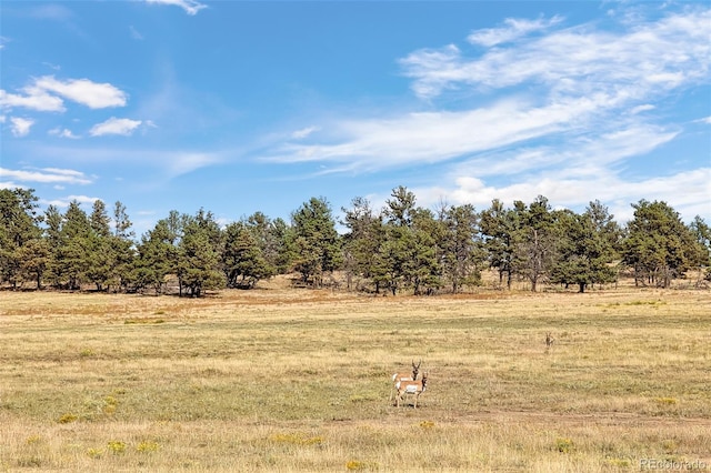 0014 W Ridge Rd, Ramah, CO 80832