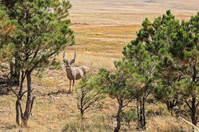 0014 W Ridge Rd, Ramah, CO 80832