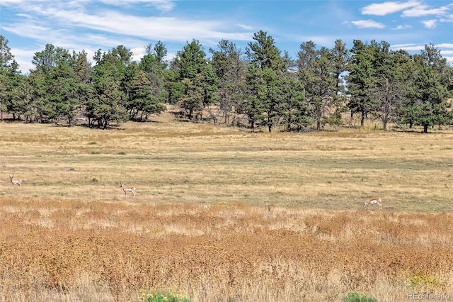 0014 W Ridge Rd, Ramah, CO 80832