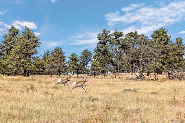 0014 W Ridge Rd, Ramah, CO 80832