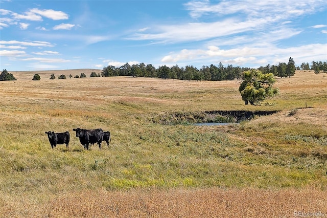 0014 W Ridge Rd, Ramah, CO 80832