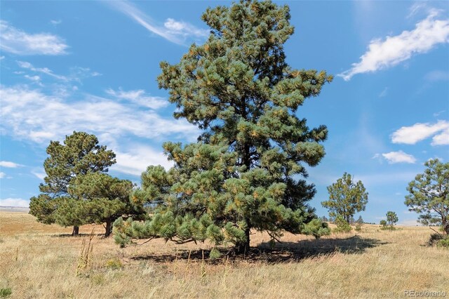 0014 W Ridge Rd, Ramah, CO 80832