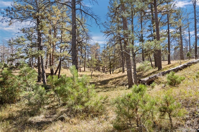 0014 W Ridge Rd, Ramah, CO 80832
