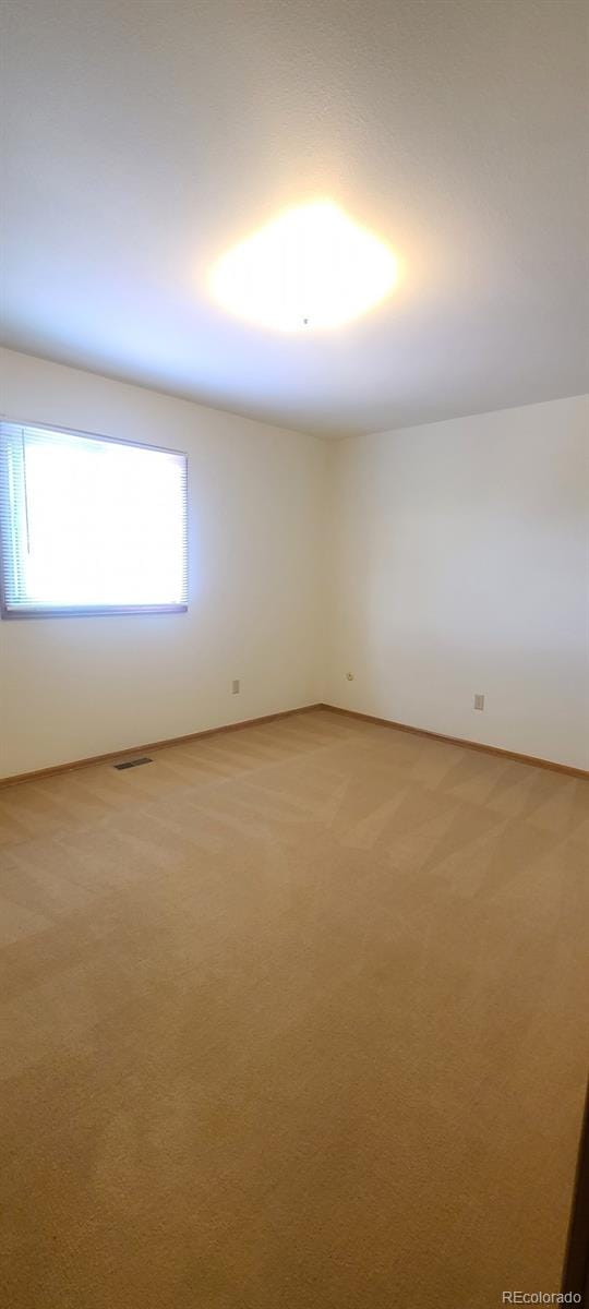 2825 Roberts Dr, Monument, CO 80132 - photo 8