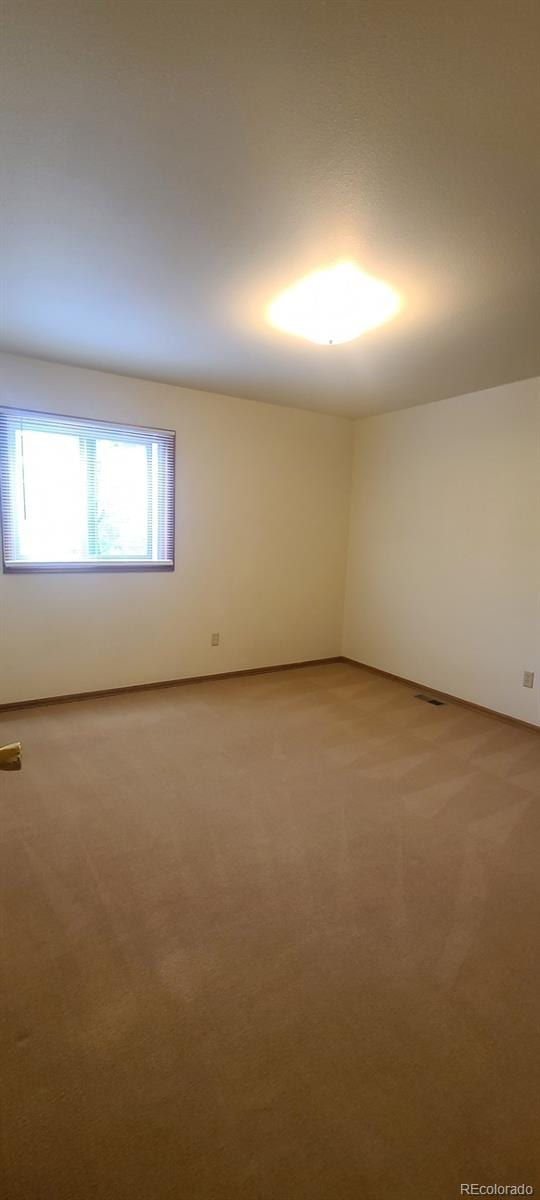 2825 Roberts Dr, Monument, CO 80132 - photo 9