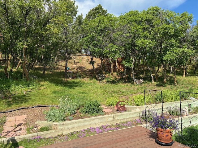 2825 Roberts Dr, Monument, CO 80132 - photo 16