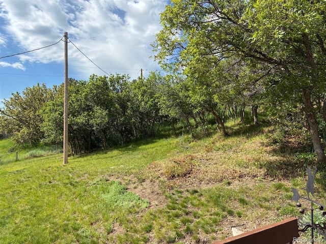 2825 Roberts Dr, Monument, CO 80132 - photo 17
