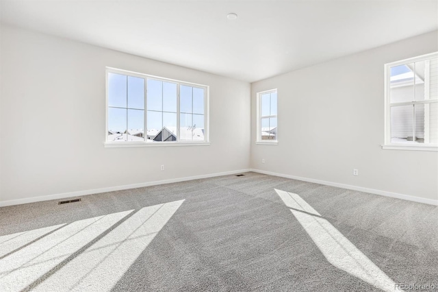 empty room with light colored carpet and a wealth of natural light