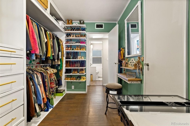 spacious closet featuring dark wood-type flooring