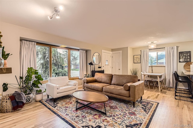 living room featuring light wood-style flooring