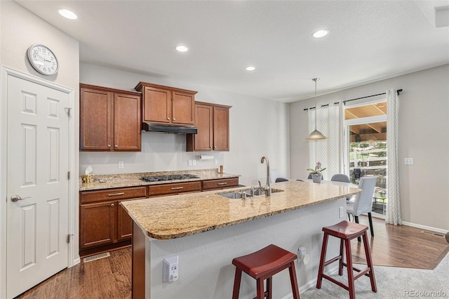 2558 Northview Pl, Castle Rock, CO 80104 - photo 9