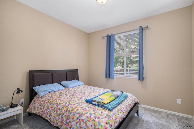 2558 Northview Pl, Castle Rock, CO 80104 - photo 24