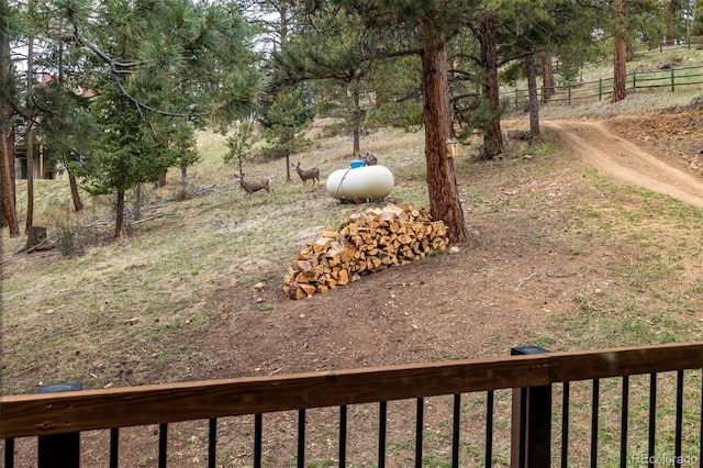 54 Zaza Ln, Evergreen, CO 80439 - view of yard