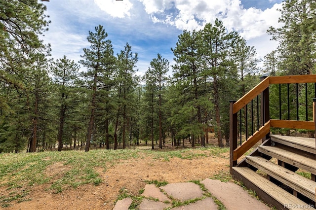 54 Zaza Ln, Evergreen, CO 80439 - view of yard with a forest view