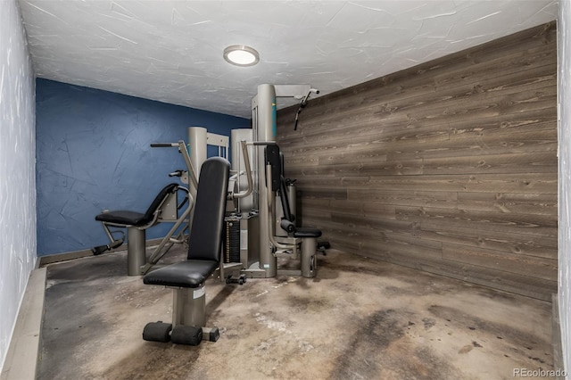 54 Zaza Ln, Evergreen, CO 80439 - workout area with wood walls