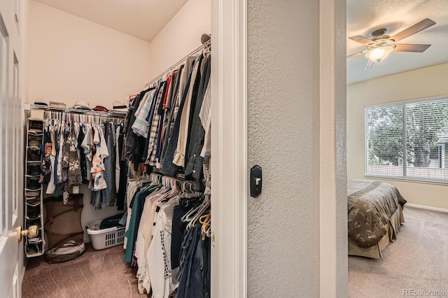 10463 Nucla St, Commerce City, CO 80022 - walk in closet featuring carpet floors and ceiling fan
