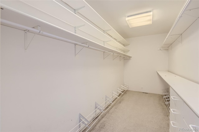 walk in closet with light colored carpet