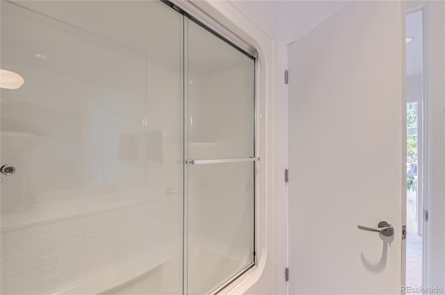 bathroom featuring a shower with shower door