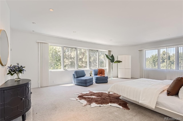 bedroom featuring carpet