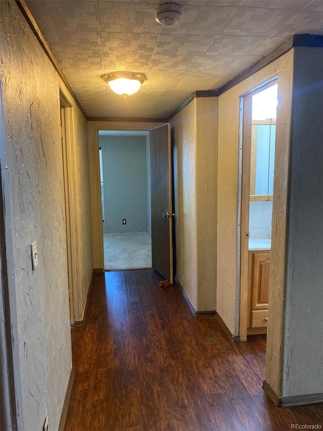 hallway featuring dark hardwood / wood-style floors