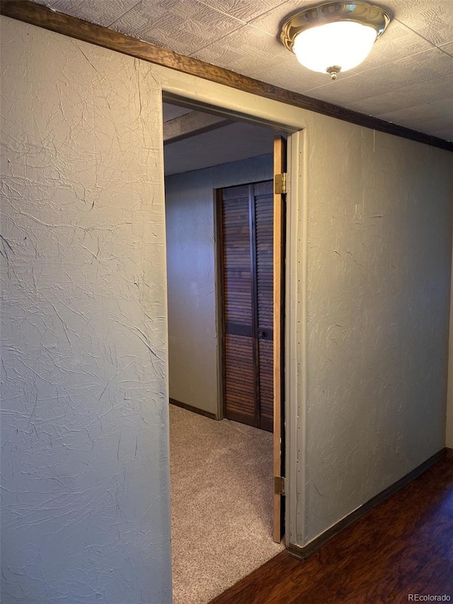 hallway featuring carpet