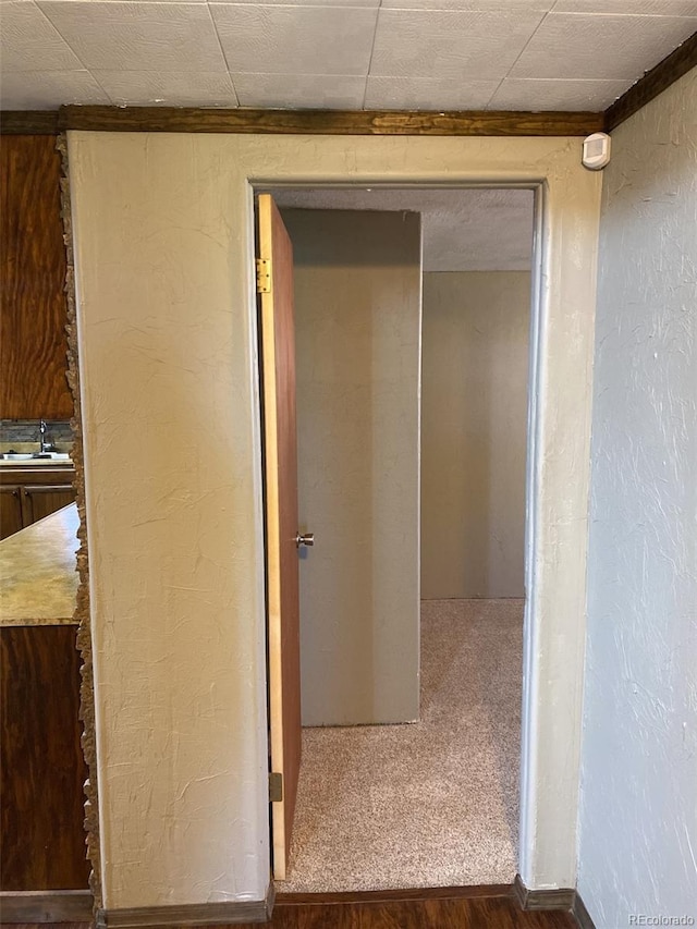 bathroom with sink