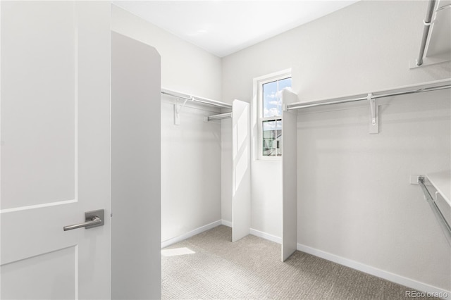 8893 Springsong Ln, Littleton, CO 80125 - photo 28