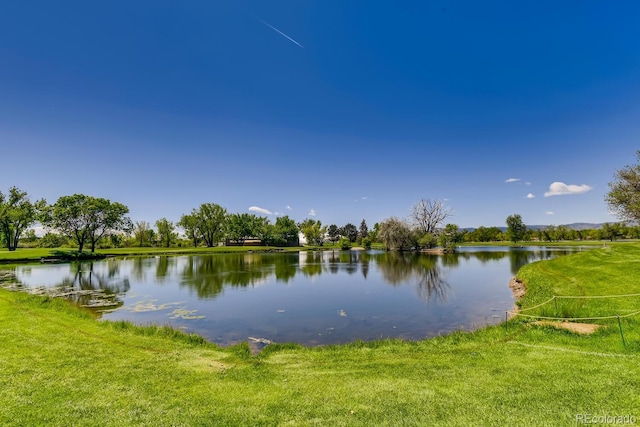 2700 W Greens Pl, Littleton, CO 80123 - photo 35