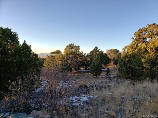 Listing photo 3 for 145 Lake Of The Falls Pkwy, Mosca CO 81146