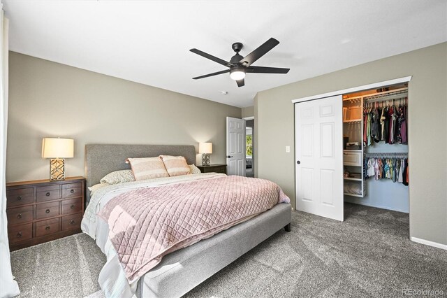 3928 Miners Candle Dr, Castle Rock, CO 80109 - photo 15