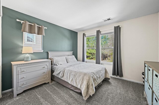 3928 Miners Candle Dr, Castle Rock, CO 80109 - photo 21