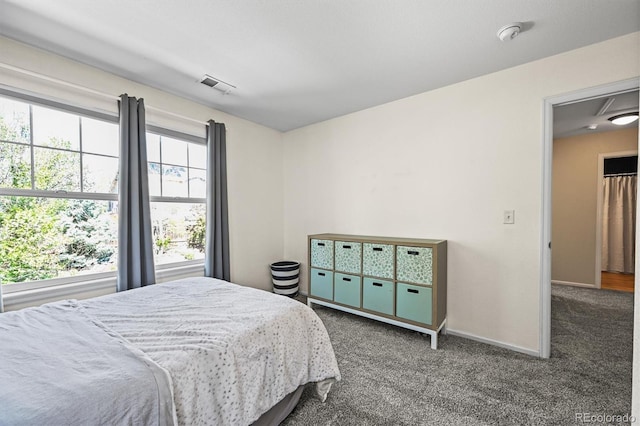 3928 Miners Candle Dr, Castle Rock, CO 80109 - photo 22
