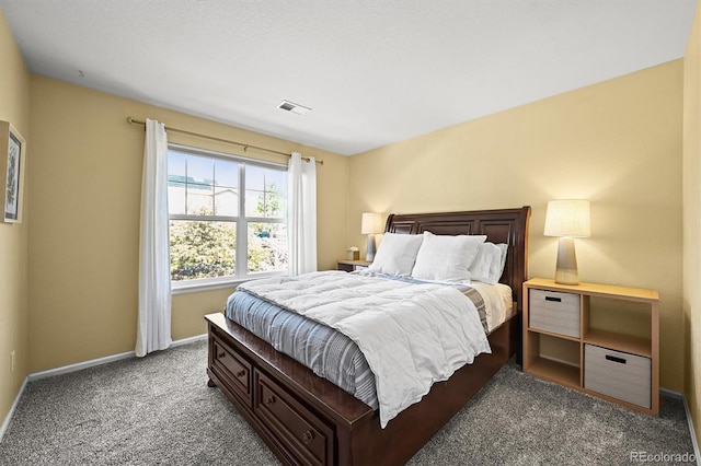 3928 Miners Candle Dr, Castle Rock, CO 80109 - photo 23