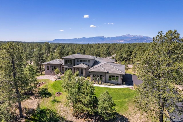 bird's eye view with a mountain view and a view of trees