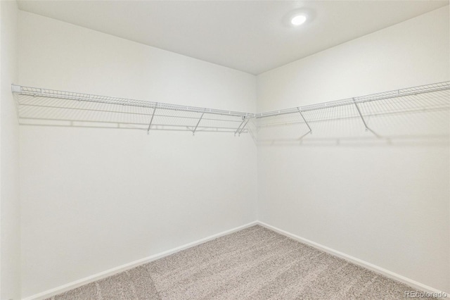 20724 E 57th Ave, Aurora, CO 80019 - walk in closet featuring carpet flooring