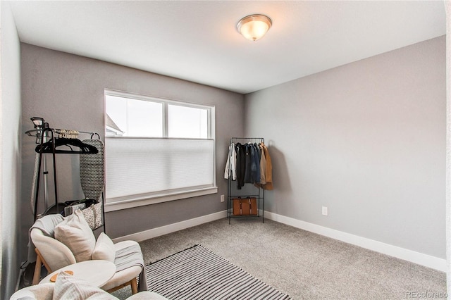 living area featuring carpet and baseboards