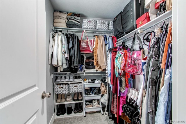 spacious closet with carpet floors