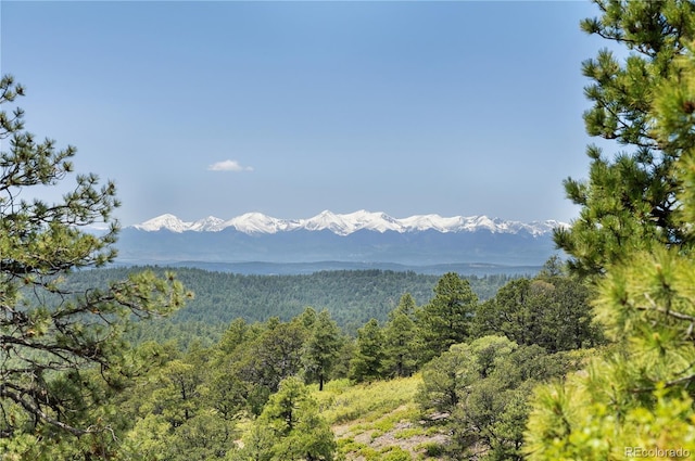 33002 Bobcat Ct, Trinidad, CO 81082 - view of mountain background featuring a forest