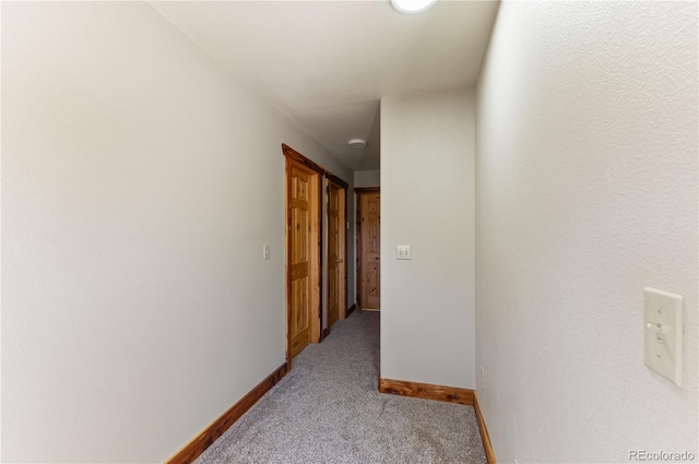 33002 Bobcat Ct, Trinidad, CO 81082 - hallway featuring carpet floors and baseboards